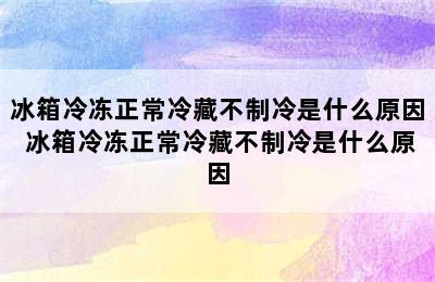 冰箱冷冻正常冷藏不制冷是什么原因 冰箱冷冻正常冷藏不制冷是什么原因